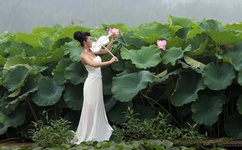 麻豆视传媒短免费网站